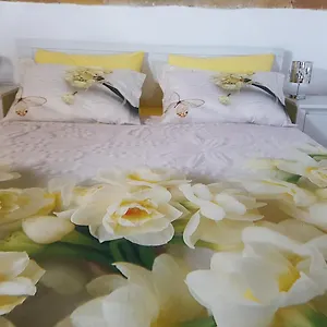 B&bittle Bed & Breakfast